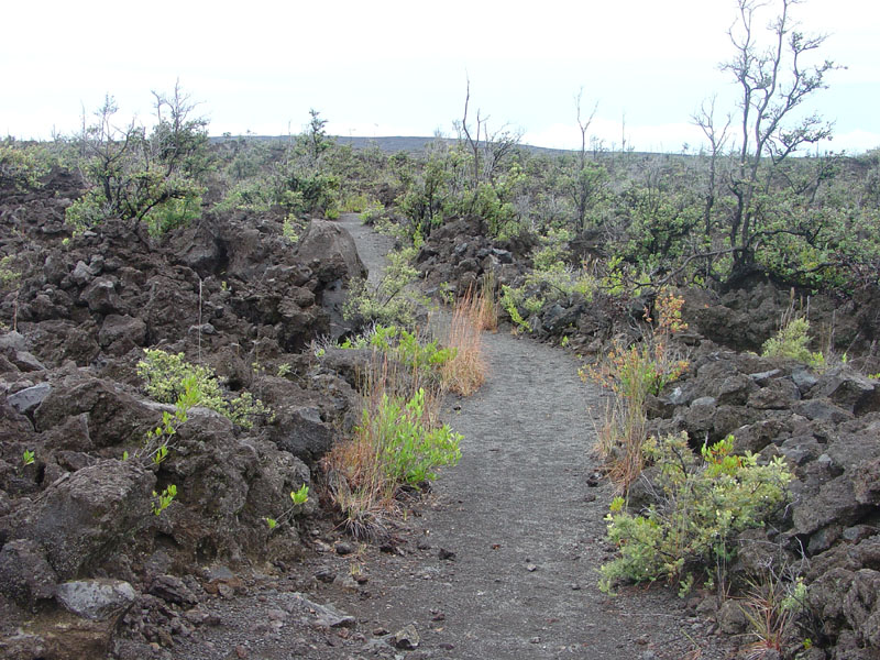 Hawaii Volcanoes the Kau Desert Trail U.S. Geological Survey